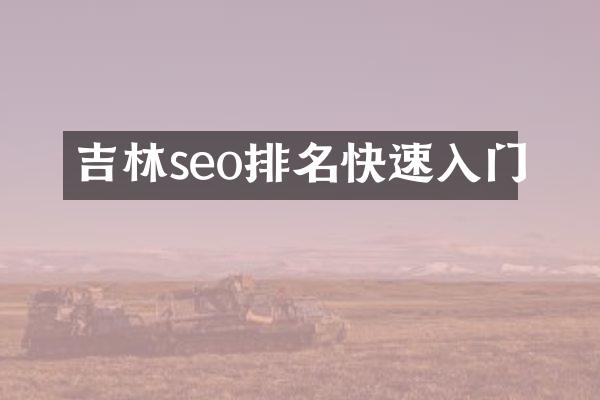 吉林seo排名快速入门