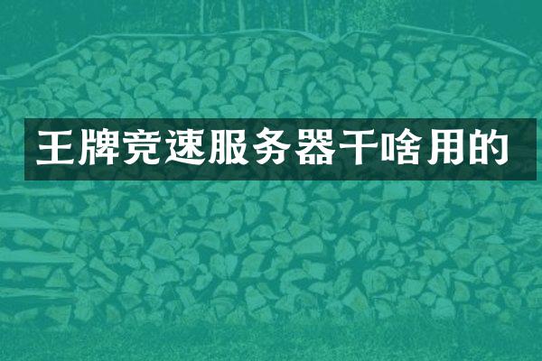 王牌竞速服务器干啥用的