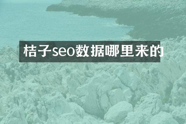 桔子seo数据哪里来的