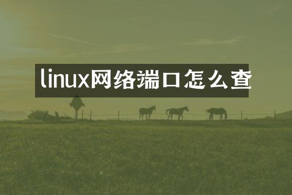 linux网络端口怎么查