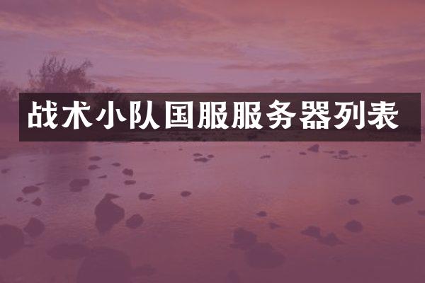 战术小队国服服务器列表
