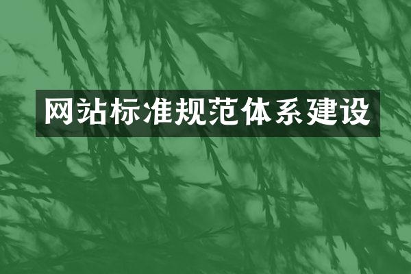 网站标准规范体系建设