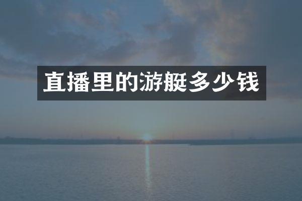 直播里的游艇多少钱