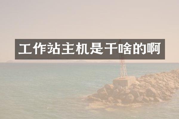 工作站主机是干啥的啊