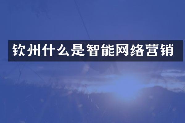 钦州什么是智能网络营销