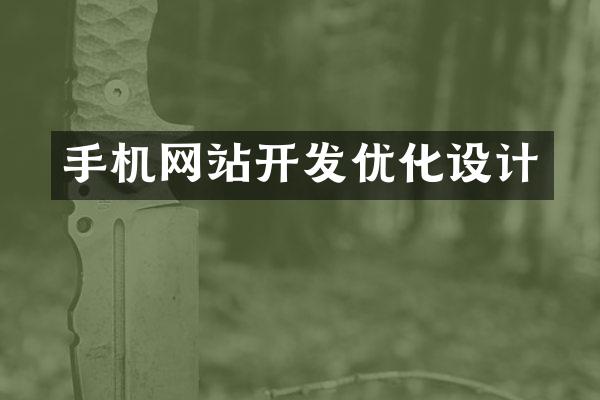 手机网站开发优化设计