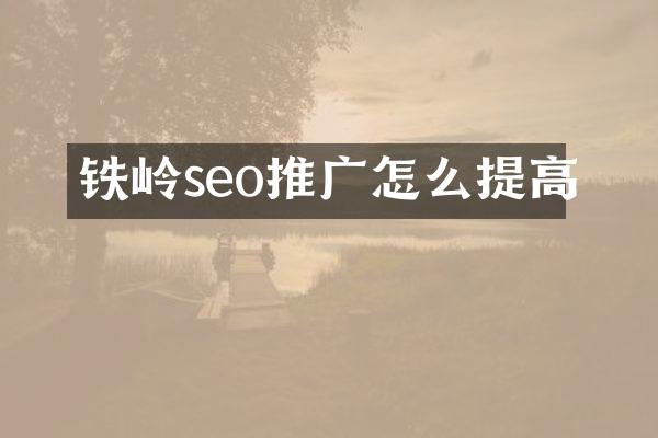 铁岭seo推广怎么提高