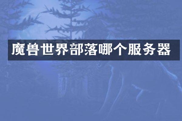魔兽世界部落哪个服务器