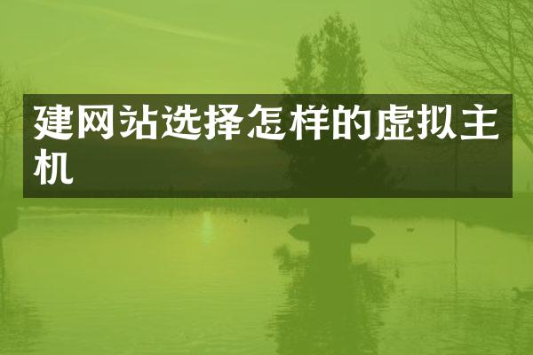 建网站选择怎样的虚拟主机