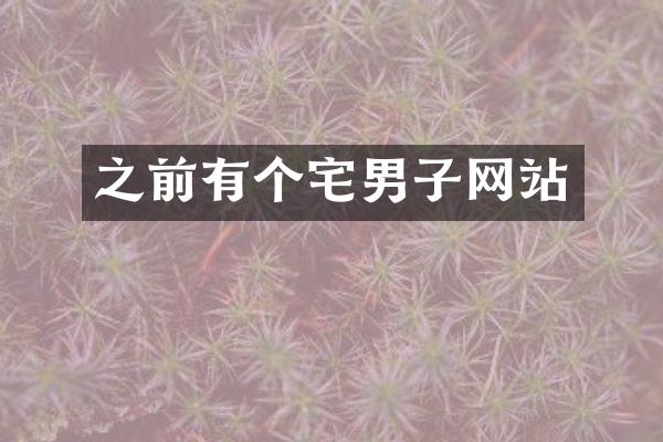 之前有个宅男子网站