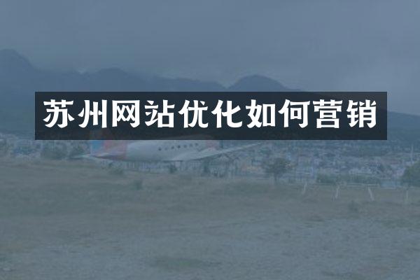 苏州网站优化如何营销