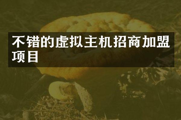 不错的虚拟主机招商加盟项目