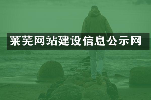 莱芜网站建设信息公示网