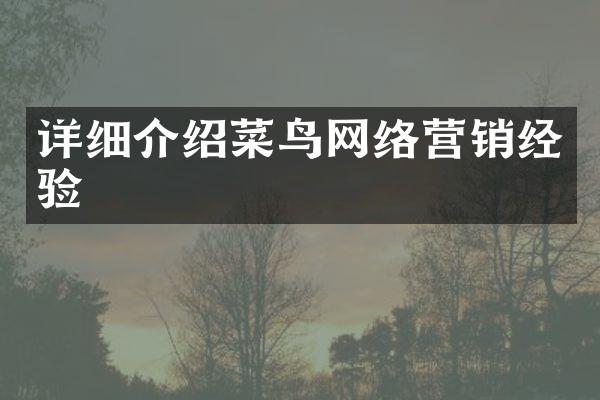 详细介绍菜鸟网络营销经验