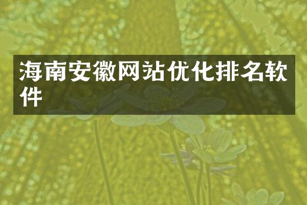 海南安徽网站优化排名软件