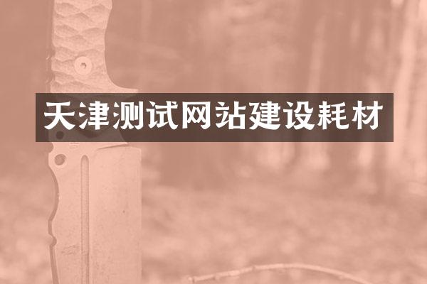 天津测试网站建设耗材