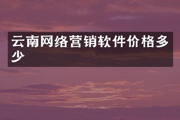 云南网络营销软件价格多少