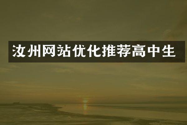 汝州网站优化推荐高中生