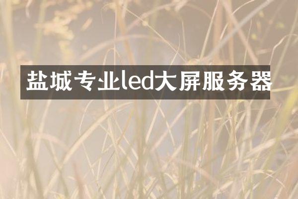 盐城专业led大屏服务器