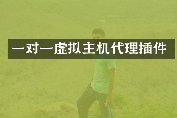 一对一虚拟主机代理插件