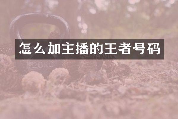 怎么加主播的王者号码