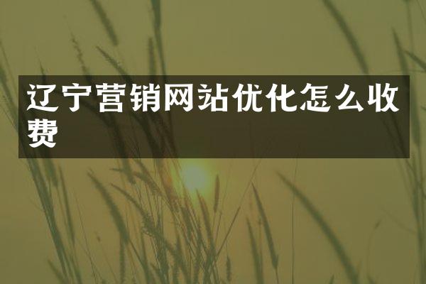 辽宁营销网站优化怎么收费