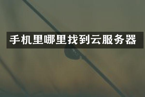 手机里哪里找到云服务器