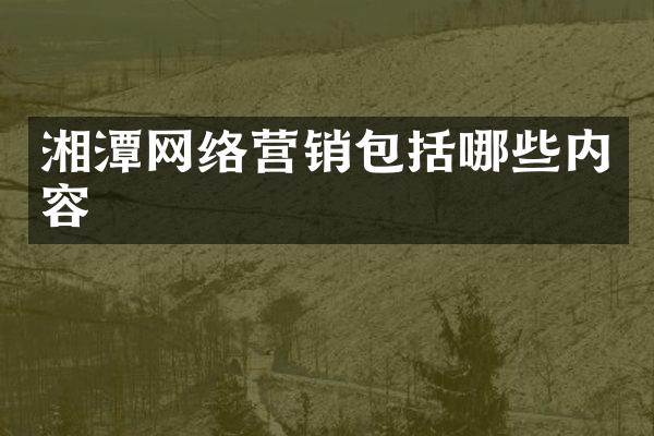 湘潭网络营销包括哪些内容