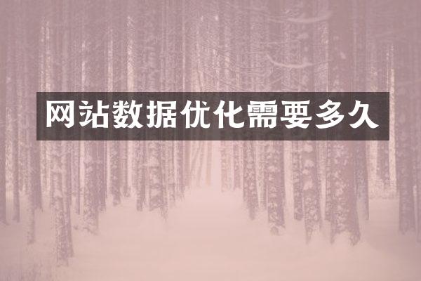 网站数据优化需要多久