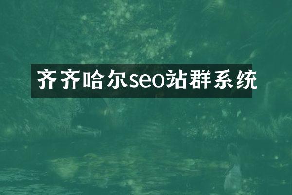 齐齐哈尔seo站群系统