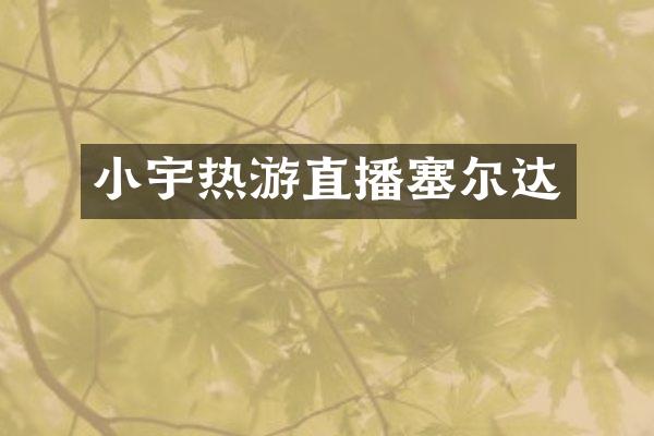 小宇热游直播塞尔达
