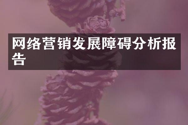 网络营销发展障碍分析报告