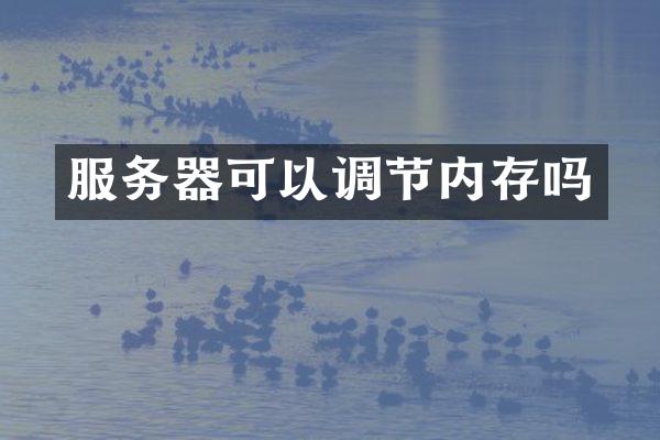 服务器可以调节内存吗