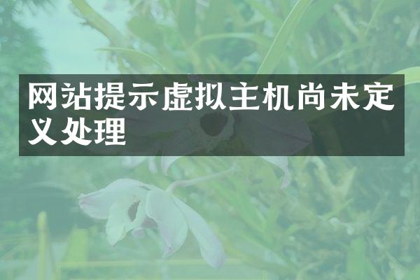 网站提示虚拟主机尚未定义处理