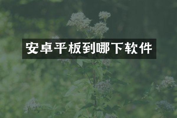 安卓平板到哪下软件
