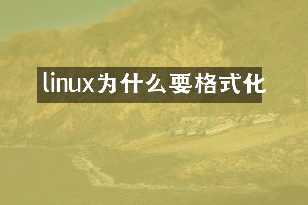 linux为什么要格式化