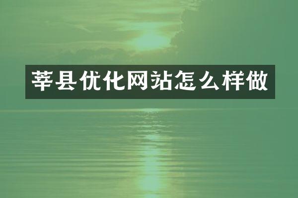 莘县优化网站怎么样做