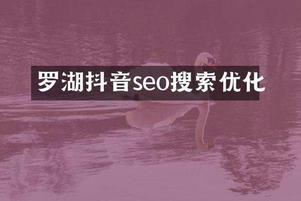 罗湖抖音seo搜索优化