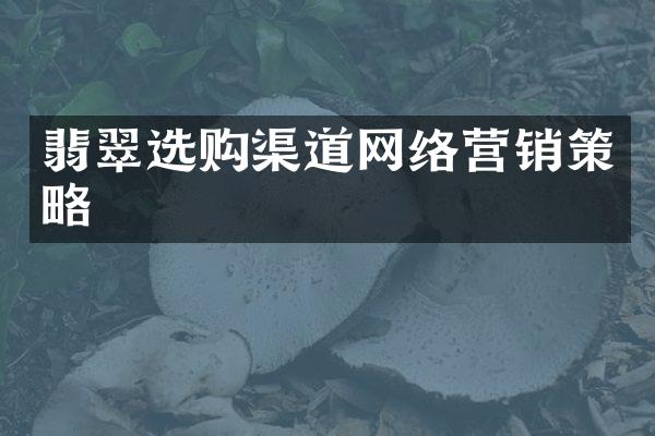 翡翠选购渠道网络营销策略