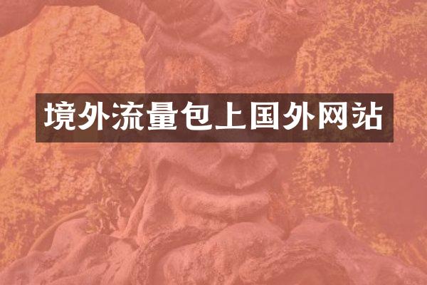 境外流量包上国外网站