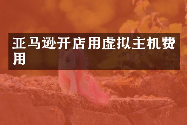 亚马逊开店用虚拟主机费用