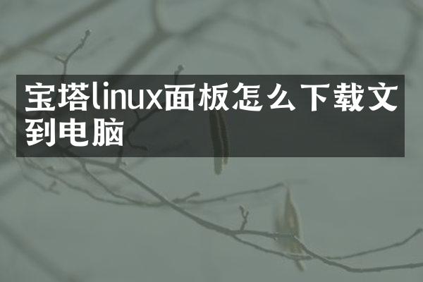 宝塔linux面板怎么下载文件到电脑