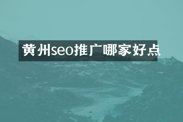 黄州seo推广哪家好点