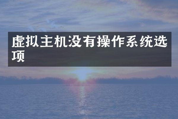虚拟主机没有操作系统选项