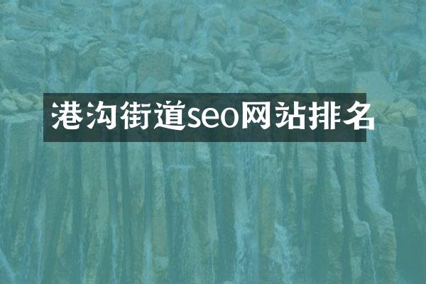 港沟街道seo网站排名