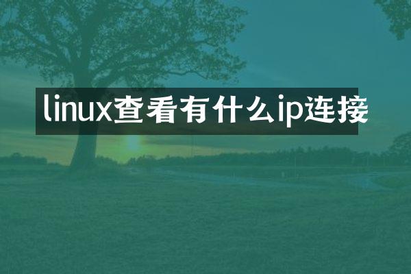 linux查看有什么ip连接