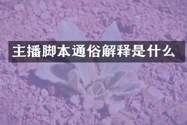主播脚本通俗解释是什么