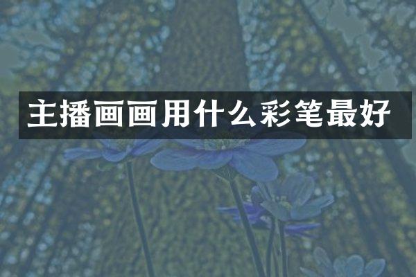 主播画画用什么彩笔最好