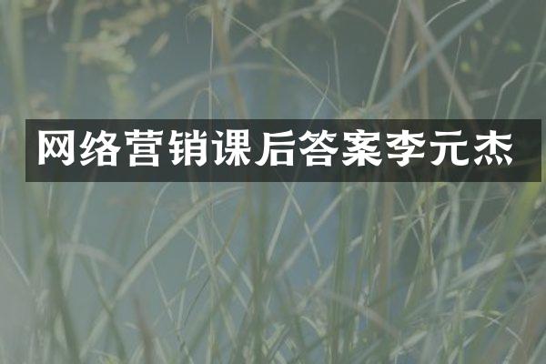 网络营销课后答案李元杰