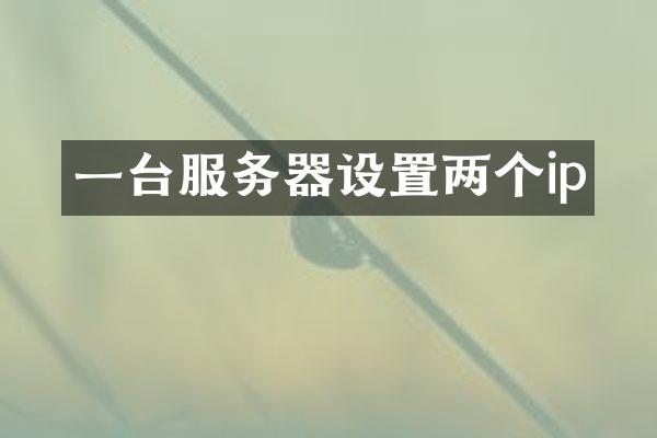 一台服务器设置两个ip